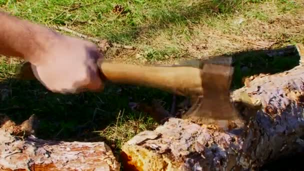 锋利的斧头 — 图库视频影像