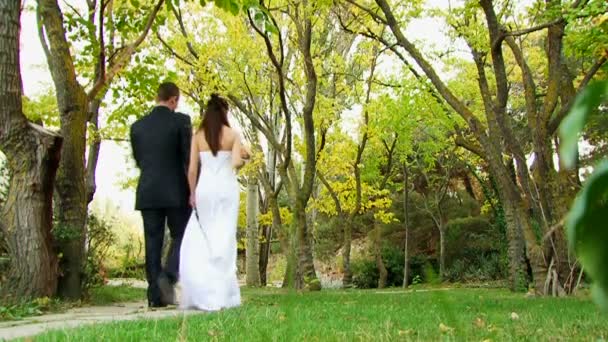 promenade dans le parc