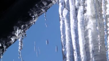 Kış sonlandırıldı. HD