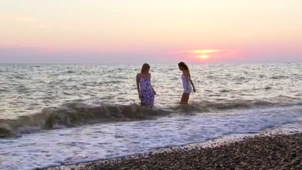Amici che trascorrono del tempo vicino al mare al tramonto — Video Stock