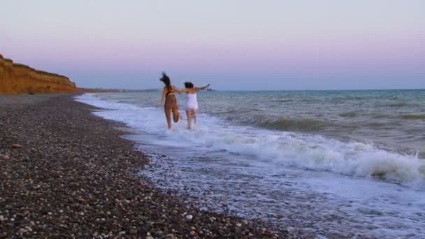 Amigos passando tempo perto do mar ao pôr do sol — Vídeo de Stock