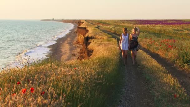 En un día soleado — Vídeo de stock