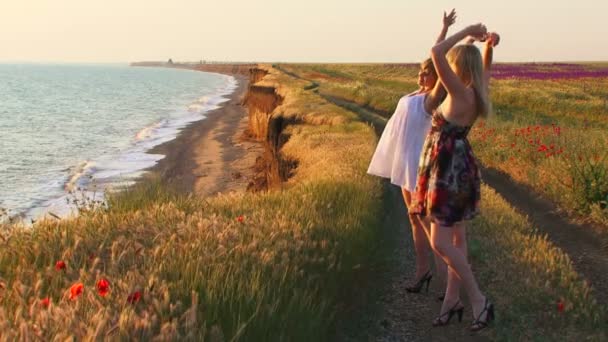 Dos mujeres de pie en un acantilado y admirando el mar . — Vídeo de stock