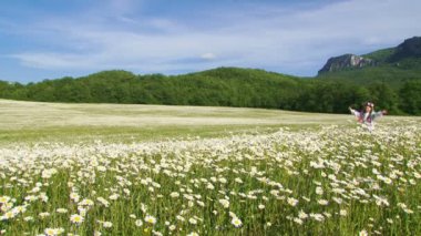 Blooming daisies arasında