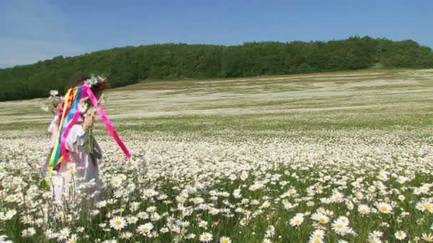 Kleines Mädchen pflückt Gänseblümchen für einen Strauß auf einem Feld. auf einem Feld zwischen Gänseblümchen. — Stockvideo