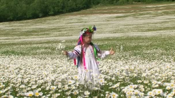 Bambina in un campo di camomilla in fiore. Tra camomilla in fiore . — Video Stock