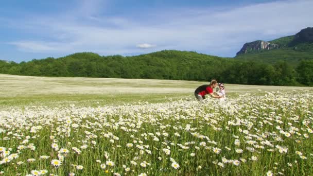 Padre e hija en un paseo por un campo floreciente. Entre flores . — Vídeo de stock
