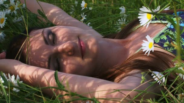 Woman laying in a bed of daisies — Stock Video