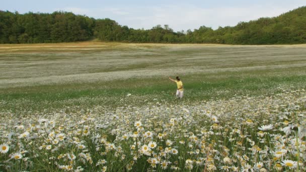 Άνθρωπος με χαμομήλι field — Αρχείο Βίντεο