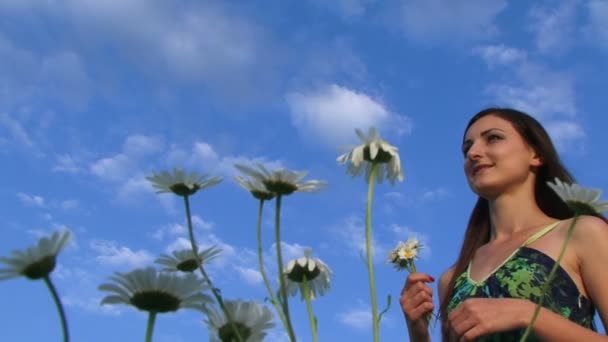 Frau auf einem Spaziergang zwischen blühenden Blumen. Spaziergang in einem Feld. — Stockvideo