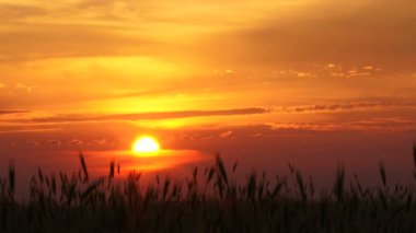 bir köyde günbatımı