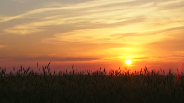 Mračny večerní oblohy. Cloudscape. — Stock video