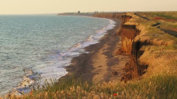 Côtes de mer dans la soirée — Video