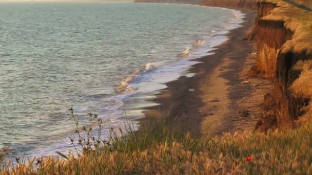 Côtes de mer dans la soirée — Video