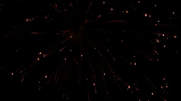 Pokaz sztucznych ogni na niebie — Wideo stockowe