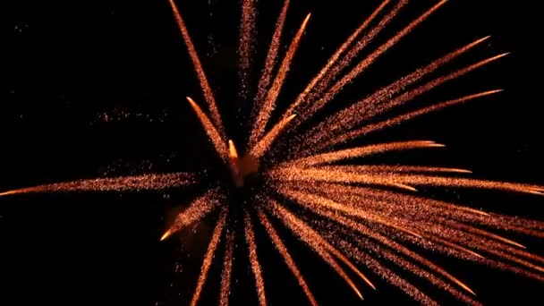 Feestelijke vuurwerk — Stockvideo