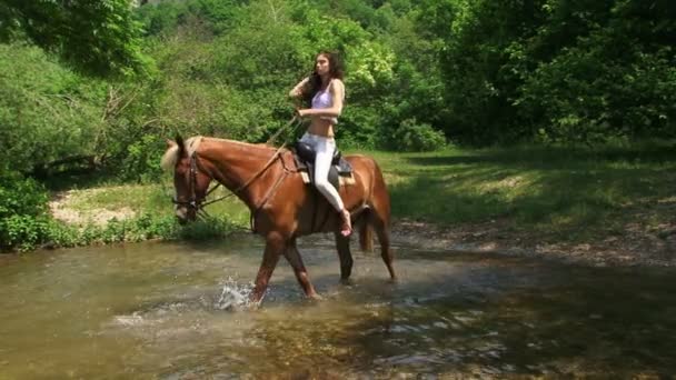 Hermosa mujer de caballo — Vídeo de stock