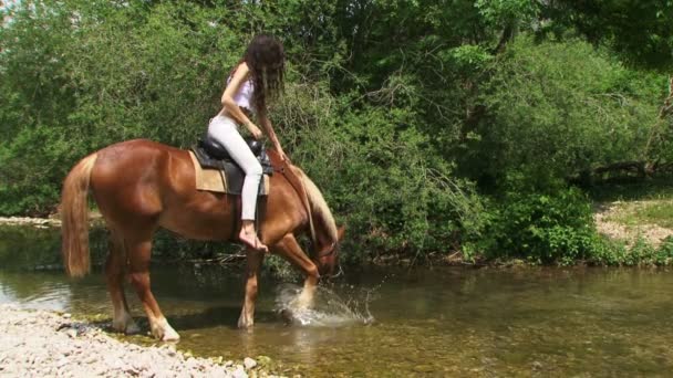 Krásná jezdkyně přes řeku. krásná jezdkyně. — Stock video