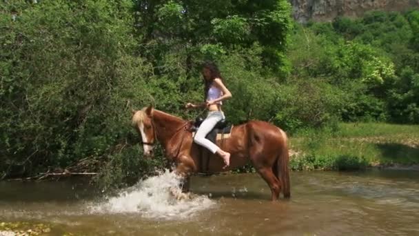 Mulher de cavalo bonita que cruza um rio. Bonita cavaleira . — Vídeo de Stock