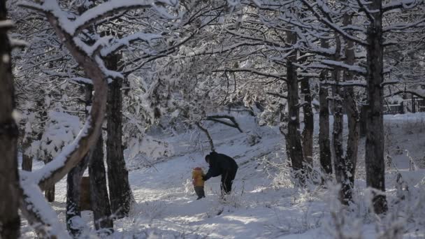 Familia está jugando en el invierno — Vídeo de stock