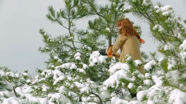 Mädchen in den schneebedeckten Kiefern — Stockvideo