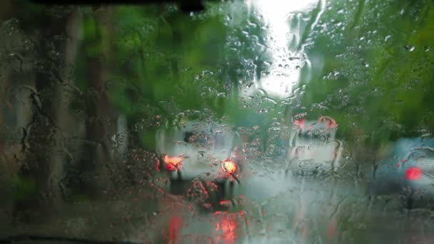 Капля дождя на лобовое стекло — стоковое видео