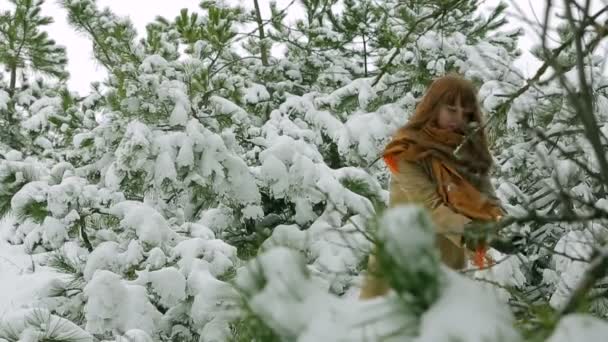 Kobieta gra śnieżkami w lesie. — Wideo stockowe