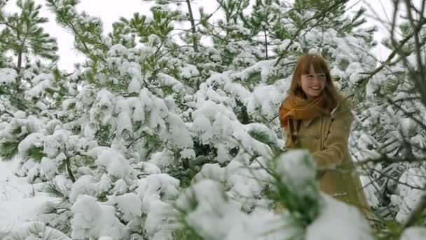 Mujer jugando bolas de nieve en un bosque . — Vídeos de Stock