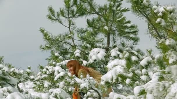 Frau spielt Schneebälle im Wald. — Stockvideo