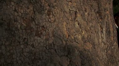 Yeni evli çift bir parkta.