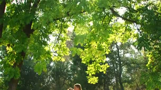 Recién casados posando en un parque . — Vídeos de Stock