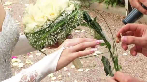 Novia y novio intercambian anillos — Vídeos de Stock