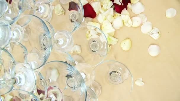 Glasses prepared for wedding celebration. — Stock Video