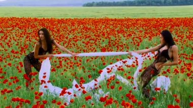 haşhaş çiçekleri arasında iki moda modelleri