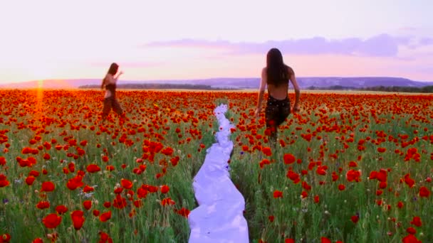 Dos mujeres posando entre amapolas florecientes. Posando entre amapolas . — Vídeos de Stock