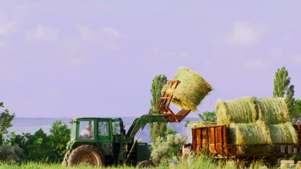 Tracteur travaillant dans un champ par une journée ensoleillée. Tracteur dans un champ .