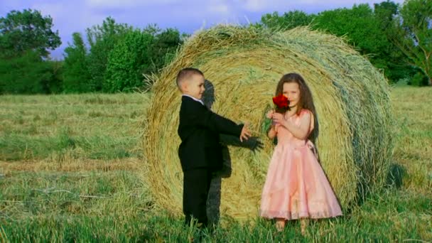 Rapaz e rapariga no campo. Casal jovem . — Vídeo de Stock