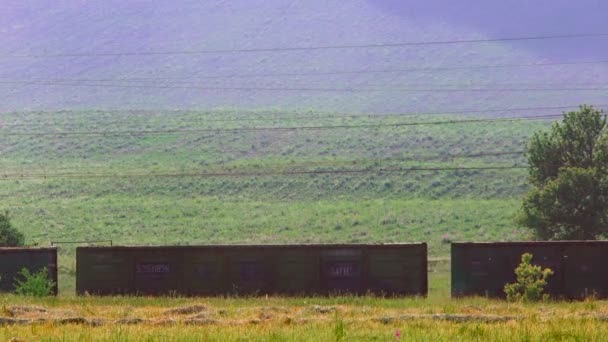 Вантажний поїзд рухається по сільській місцевості. Сільська місцевість . — стокове відео