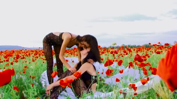 Две женщины позируют на маковом поле — стоковое видео