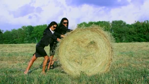 Empresarias posando en un campo otoñal. Empresarias en un campo . — Vídeos de Stock