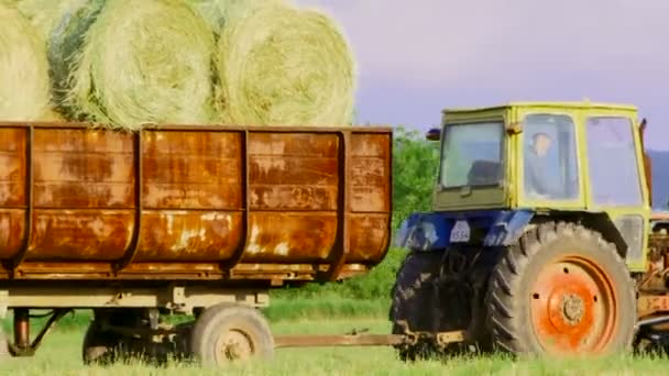 Tracteurs transportant des fauches de foin. Tracteurs agricoles . — Video