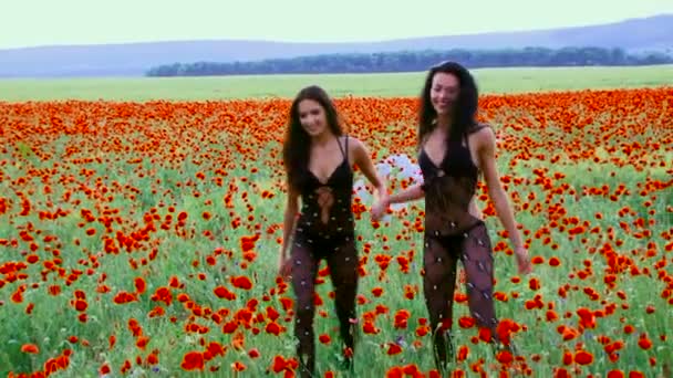 Dos modelos de moda en un campo de amapola floreciente — Vídeos de Stock