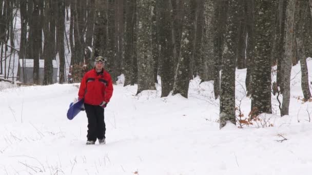 Snowboarder em uma floresta . — Vídeo de Stock