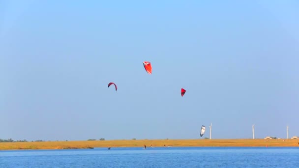 Os papagaios dos Kiteboarders a voar sobre o mar. Pipas no céu . — Vídeo de Stock