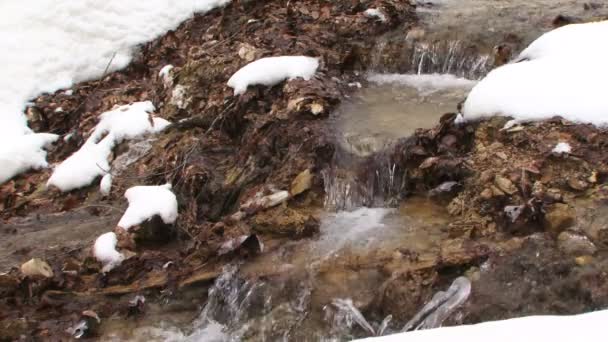 Riverside i vinter. närbild. Riverside. närbild. — Stockvideo