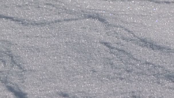 Vagues de neige par une journée ensoleillée. Gros plan. Ondes de neige . — Video