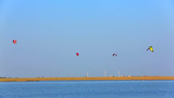 Kiteboarders vliegers stijgende boven de zee. vliegers in de hemel. — Stockvideo