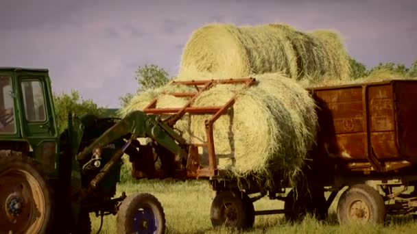 Traktor, pracující v oboru za slunečného dne. traktor v poli. — Stock video
