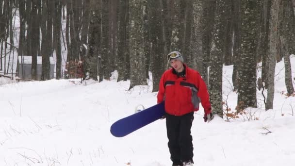 Snowboarder em uma floresta . — Vídeo de Stock