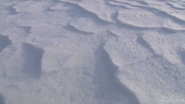 Snow waves on a sunny day. Close-up. Snow waves. — Stock Video